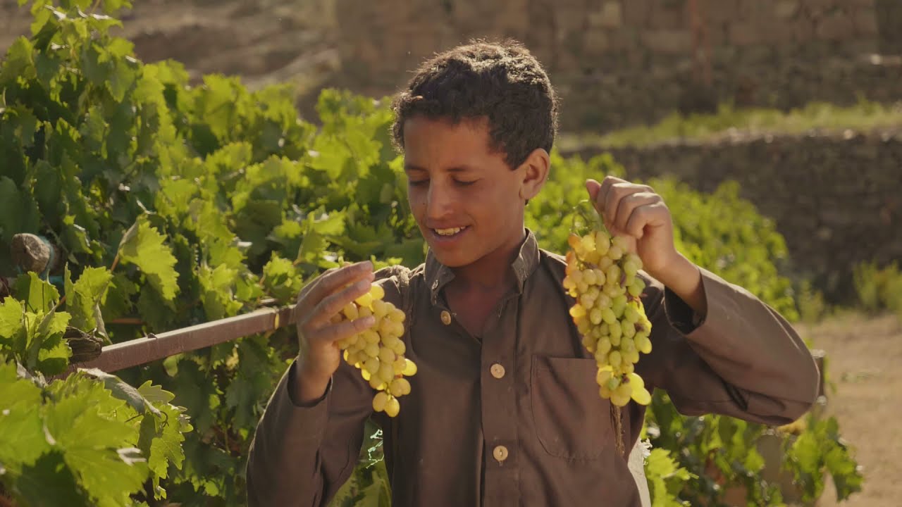 افضل المواعيد لزراعة بعض الأشجار