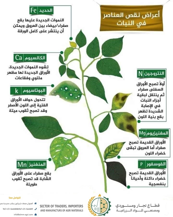 اعراض نقص العناصر في النبات وما هي الاسمدة التي تقوم بمعالجة هذه المشكلة